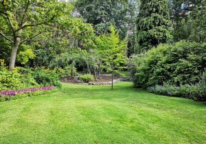Optimiser l'expérience du jardin à Saint-Hilaire-sous-Charlieu